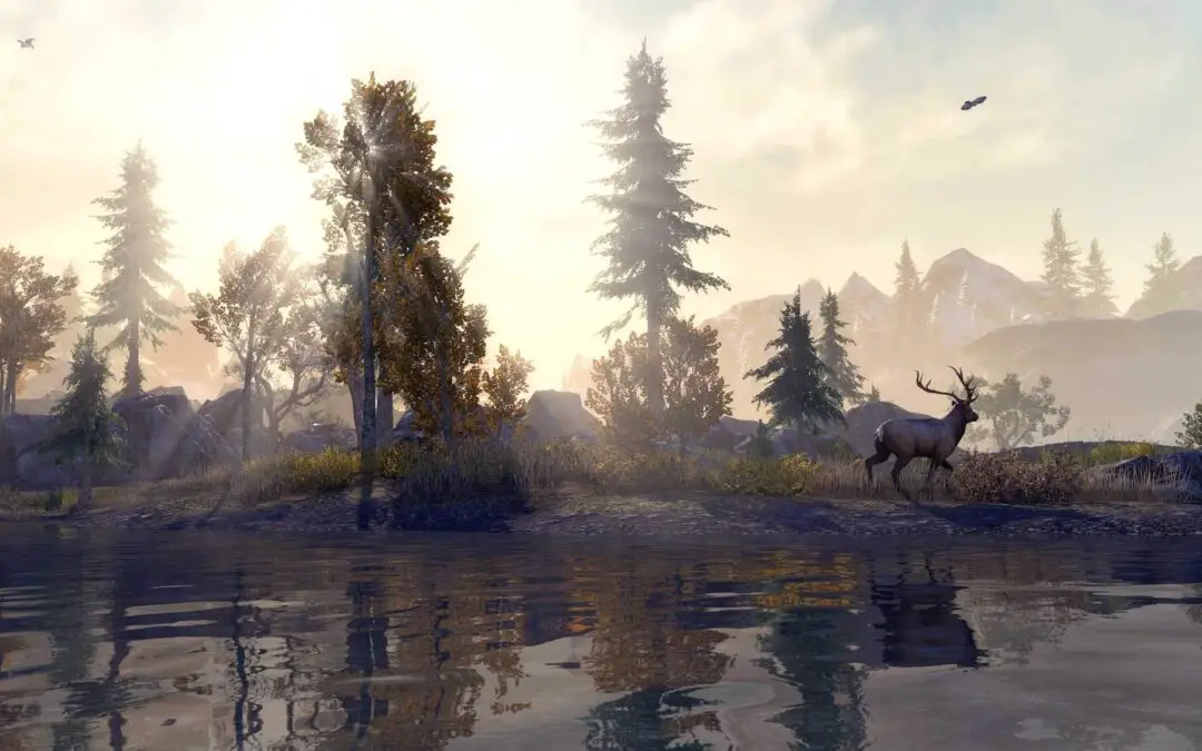 Big Graphical Changes Coming To ESO!